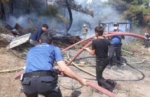 Maltepe’de orman yangını