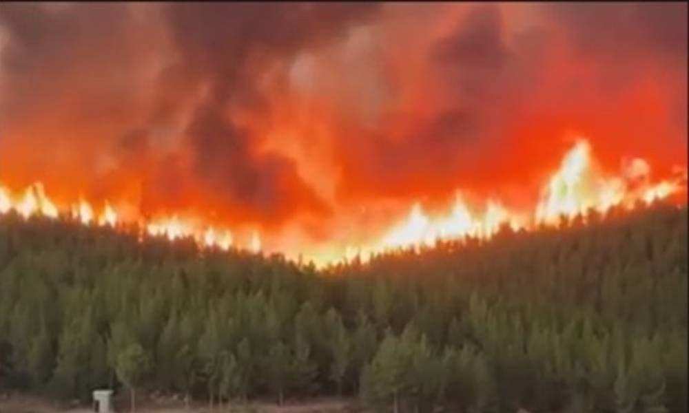 Yangın dehşeti yeniden başladı! Tokat’tan uyarı: Yangın Yeniköy Termik Santraline doğru ilerliyor