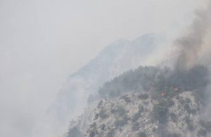 Milas’ta orman yangını yeniden başladı