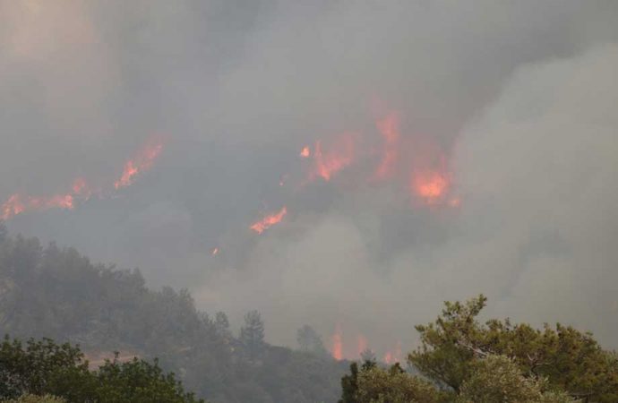 Bodrum Belediyesi yangın yerinde, mücadele sürüyor