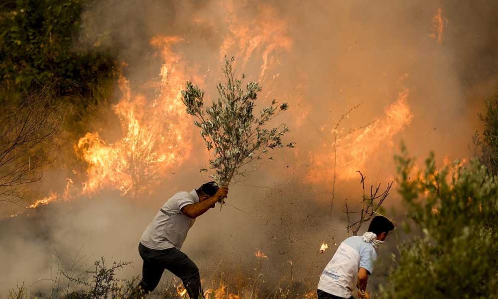 Yangın felaketinde 10. gün: Manavgat ve Gündoğmuş yangınları kontrol altında