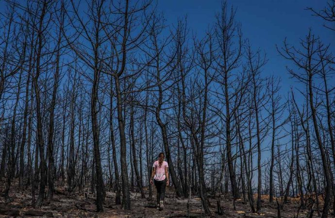 Orman Bölge Müdürü: Manavgat’taki yangında dumanın ısıttığı yer yanmaya başladı