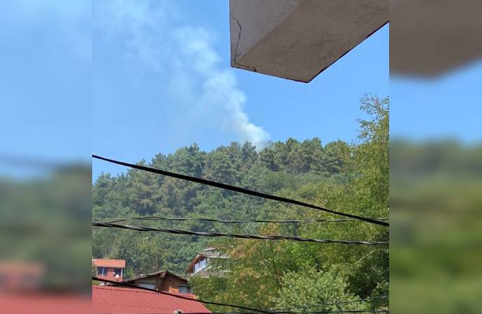 İstanbul Beykoz’da orman yangını