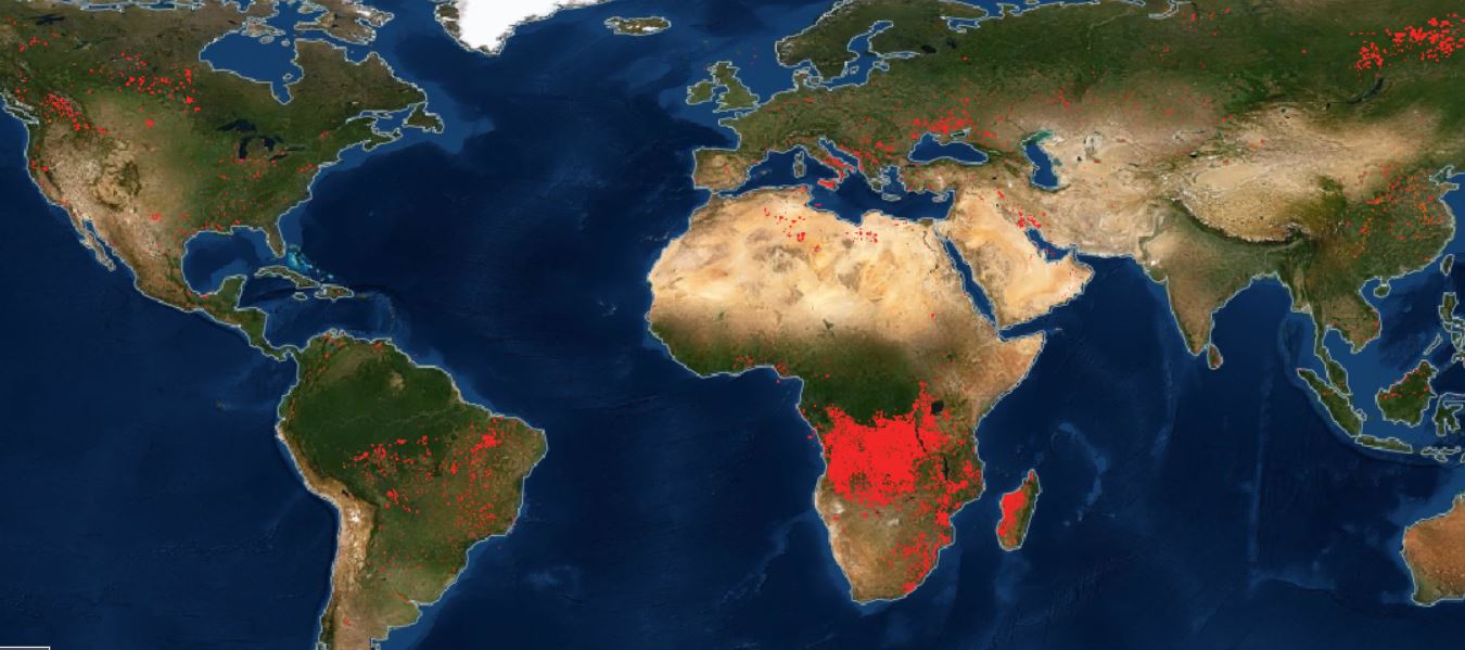 Dünya yanıyor! İşte NASA’nın yangın haritası