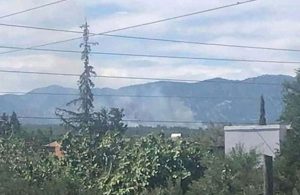 Adana Kozan’da orman yangını
