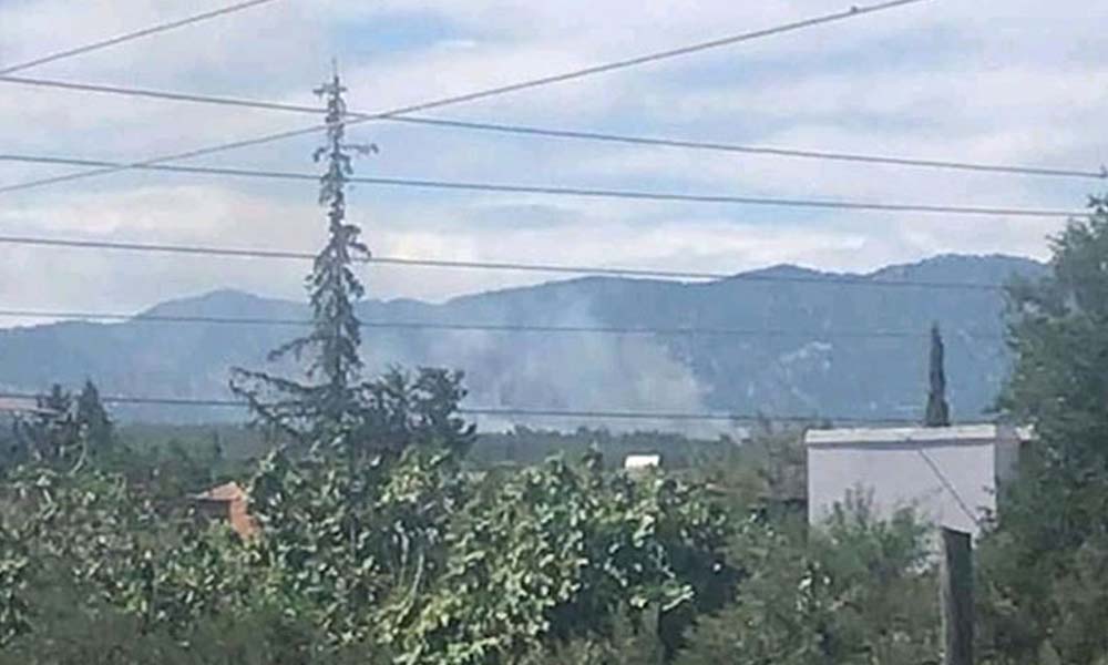 Adana Kozan’da orman yangını