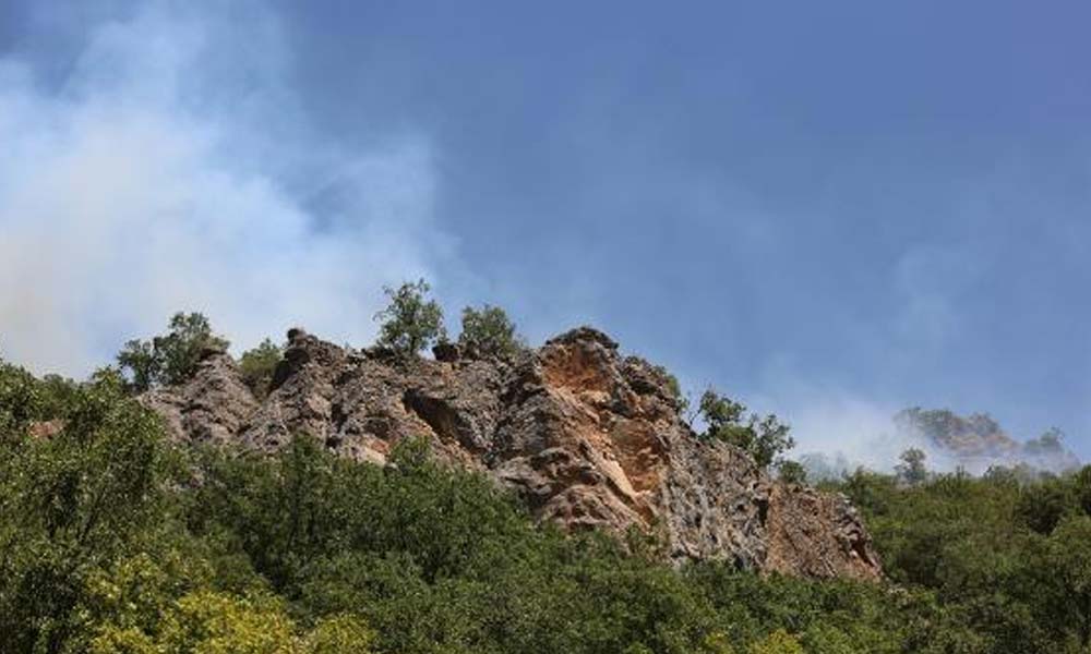 Munzur Vadisi Milli Parkı’ndaki yangın yeniden başladı