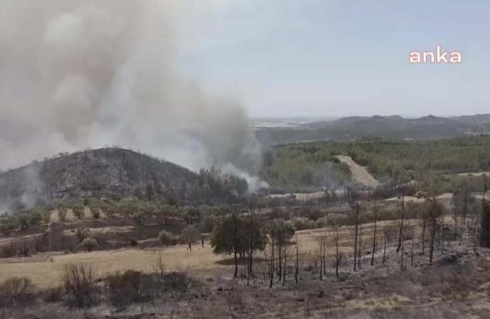 Ormanlar yanıyor, yapılaşma endişesi büyüyor: Yanan ormanların üç katı alan orman dışı faaliyetlere açıldı