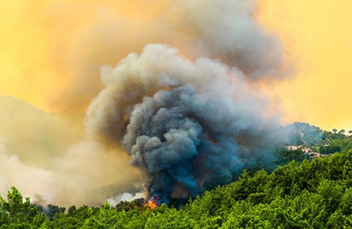 Bakanlık: Sivillerin gelişigüzel bir biçimde yangına müdahale etmesi güvenli değil