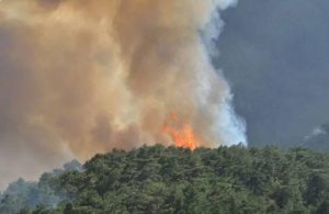 Yangınlarda 13’üncü gün: Milas ve Köyceğiz dışında yangınlar kontrol altında