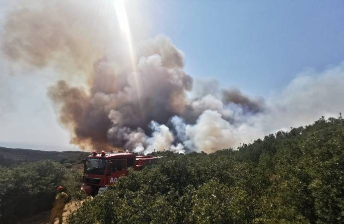 Muğla ve Çanakkale’de orman yangını