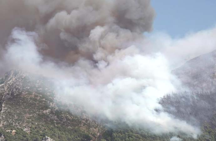 Antakya’da orman yangını