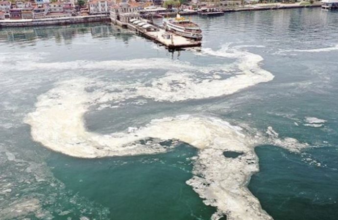 Müsilaj geçti mi? Marmara’dan balık yemek güvenli mi? Uzmanlar yanıtladı