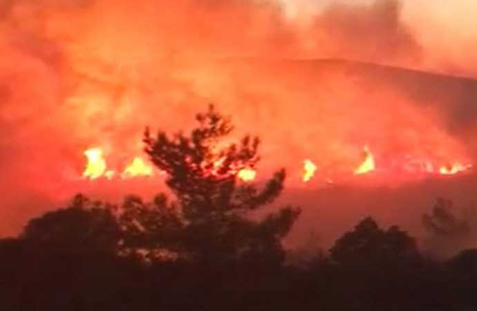 İzmir Karaburun’da orman yangını