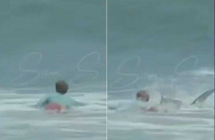Florida’da 16 yaşındaki sörfçüye köpekbalığı saldırdı