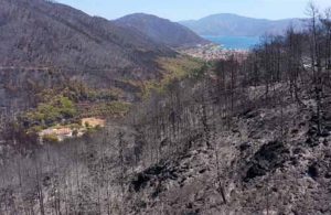 CHP’den Marmaris’teki orman yangınıyla ilgili suç duyurusu