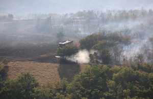 Tunceli Valisi: Yangınların tamamı söndürüldü
