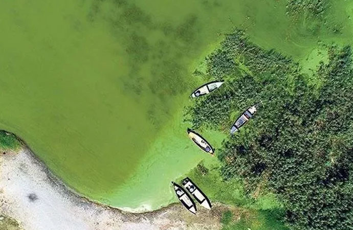Uluabat Gölü ve Eğirdir Gölü için tehlike çanları çalıyor