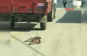 Köpeği traktöre bağlayıp metrelerce sürükledi