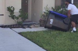 Evinin önündeki timsahı yakalamak için çöp kutusunu kullandı!