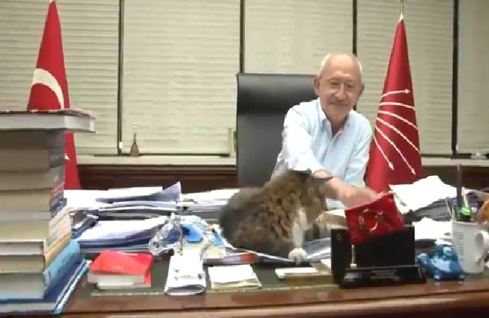 CHP, Kılıçdaroğlu ile kedi Şero’yu paylaştı: ‘İşimiz çok, mesaimiz yoğun’
