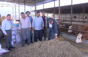 AKP’li olduğunu söyleyen çiftçi: Mal varlıklarımıza el koydular