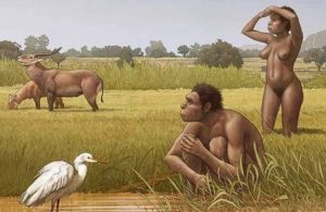 Yeni bir insan türü bulundu: Homo bodoensis