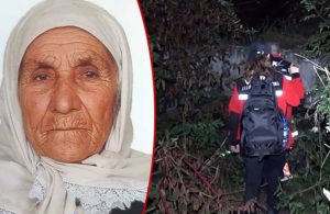 90 yaşındaki Alzheimer hastası kadın evine giderken kayboldu