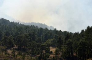 Antalya’da orman yangını çıkaran 7 turist tutuklandı