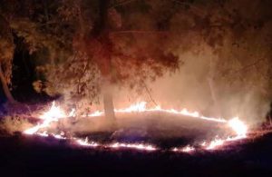Antalya Kumluca’da 3 ayrı yerde eşzamanlı orman yangını