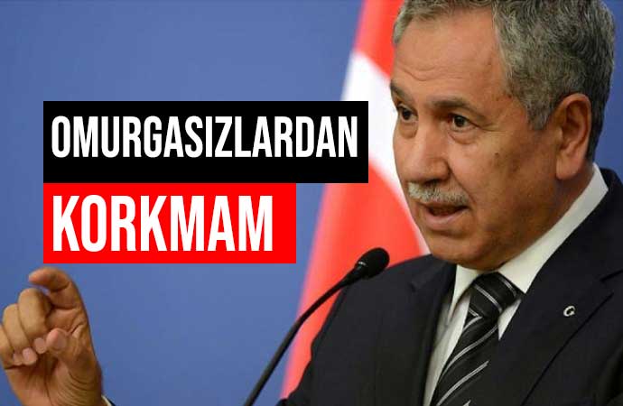 ‘CHP’nin oyları artıyor’ diyen Arınç, AKP’den gelen tepkilere Sezai Karakoç’un sözleriyle yanıt verdi