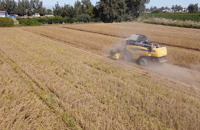 Tarsus Belediyesi’nin yerli tohum atağı devam ediyor