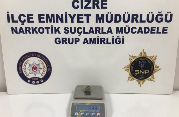 Şırnak’ta asayiş ve kaçakçılık operasyonu: 55 gözaltı