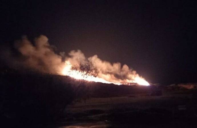 Bodrum’da gece yarısı orman yangını paniği!