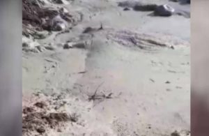 Giresun’da siyanür atıklarının olduğu havuz patladı