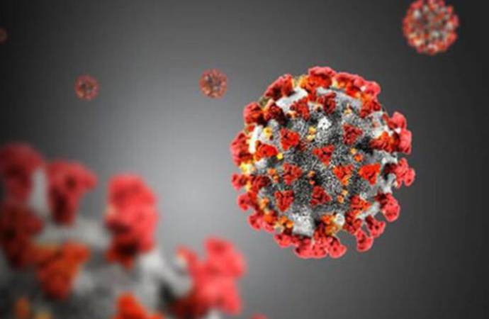 Koronavirüs nedeniyle 213 kişi daha hayatını kaybetti