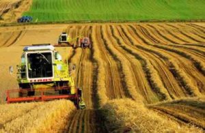Ukrayna’dan tarım ürünleri ithalatına sertifika istisnası
