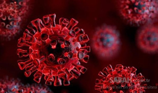 koronavirüsten 32 ölüm daha