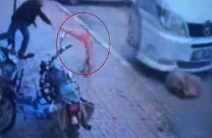 Afyon’da köpeğe şiddet! Minibüsle ezip duba fırlattılar