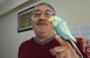 Sivasspor taraftarı ‘Yiğido’ isimli muhabbet kuşundan Muslera’ya geçmiş olsun dileği