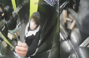 Esenyurt’taki asansör sapığı tutuklandı!