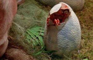 Yumurtadan çıkmak üzere olan dinozor bulundu