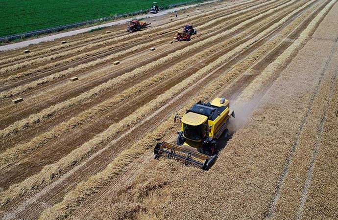 Türkiye 320 bin ton buğday alacak iddiası