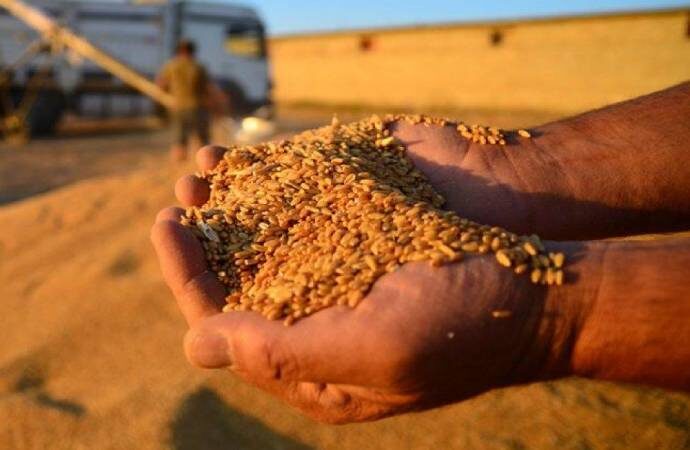TMO buğday, arpa ve mısır zamlarını geri çekti