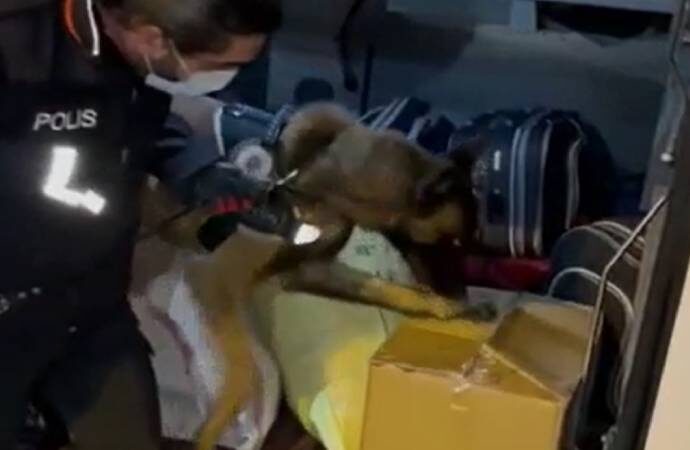 Narkotik köpeği ‘Nektör’ otobüs bagajında 66 kilo eroin buldu!