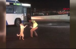 Otobüs şoförü ile köpeğin arasındaki eğlenceli anlar gülümsetti