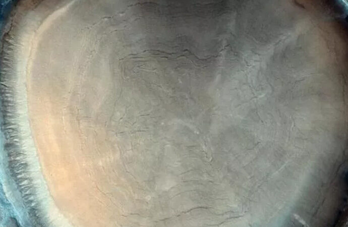 Mars’ta ağaç kütüğüne benzetilen fotoğrafın gizemi çözüldü