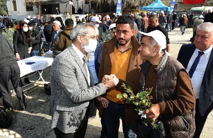 Tarsus Belediyesi üreticilere 40 bin adet yerli fide dağıttı