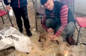 Donmak üzere olan yavru köpeği belediye ekipleri ateş yakarak ısıttı