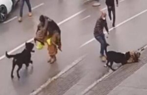Köpeği görünce korkan kadın kucağındaki çocuğu düşürüp kaçtı